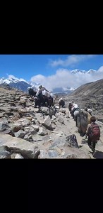 74K views · 2.5K reactions | Trekking in Nepal #trekkinginnepal | Trekking In Nepal | Facebook