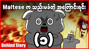 Maltese က သည်းမခံတဲ့ အကြောင်းရင်း အပိုင်း - ၁ | Animation KK Burmese