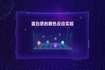 蛋白质的颜色反应实验