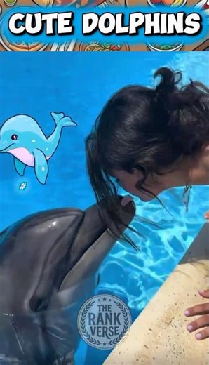 Cute Dolphins 🐬 Playing 🥰❤️ #pets #dolphin #dolphins #fish #cutedolphin #water #shorts