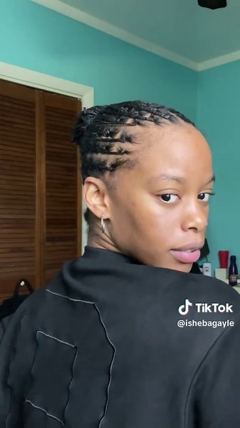 Creative Mini Braids for Natural Hair Styles
