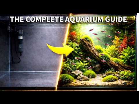 From Scratch to a Thriving Aquarium –Complete Setup Guide