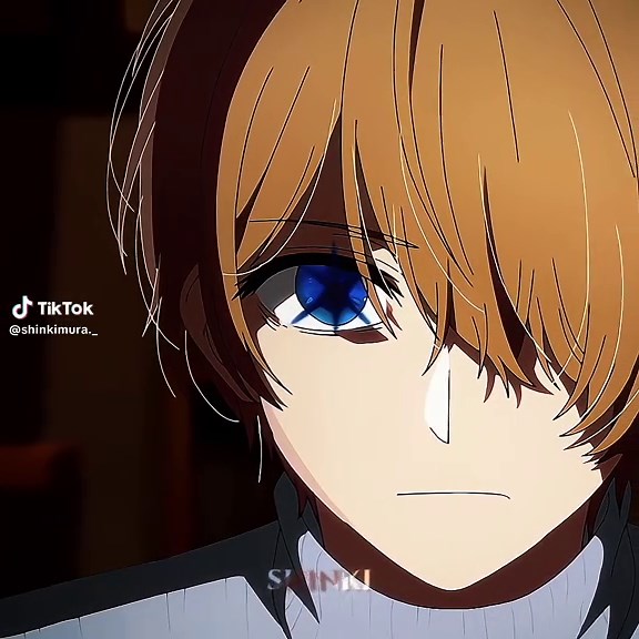 Exploring Hoshino Oshinoko: A Deep Dive into Characters