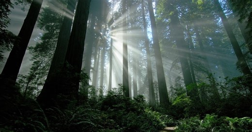 Giants Rising:Trailer