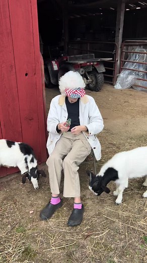 Booboo and The Goats - Funny Adventures with Booboo and Chels