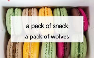 pack, package - 高中英语 2019 新人教版 必修一 Unit2 Travelling Around 单词讲解