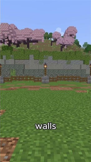 Boring Fences? Let Me Help You