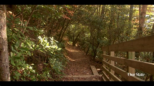 3.2K views · 344 reactions | Zip-line through the colorful forest canopy, go leaf peeping on a hike to a beautiful waterfall, explore downtown shops, and have a cozy dinner during a fall trip to Highlands. — With Visit Highlands NC | Our State Magazine | Facebook