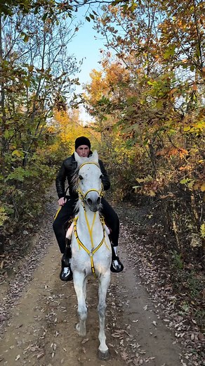 #fadilah #arabianhorses #sunday #funday #wekend #shqip #patriot #folklor #shqiptaretneperbote🇦🇱🌍 #kosova🇽🇰 #shqiperia🇦🇱 #fyp #tik #viral_video