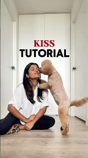 Teach your dog to KISS - dog trick tutorial