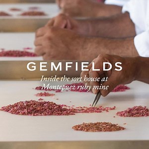 23 reactions | Let's take a look inside our ruby sort house at Montepuez ruby mine in Mozambique, where rough rubies are washed, separated, sorted and graded! ​ #Gemfields #Rubies | Gemfields | Facebook
