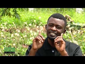 The lucrative opportunities in herb farming | SEEDS OF GOLD