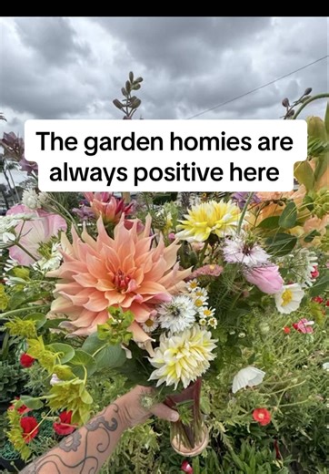 Just out here spreading the love of growing local specialty cutflowers in a warm climate #flowers #gardentok #plants #flowertok #cutflowers