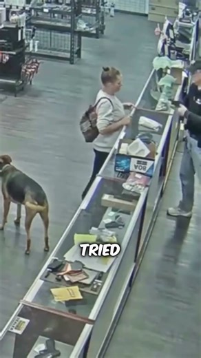 Instant Karma for a Thief 🙃 #shorts