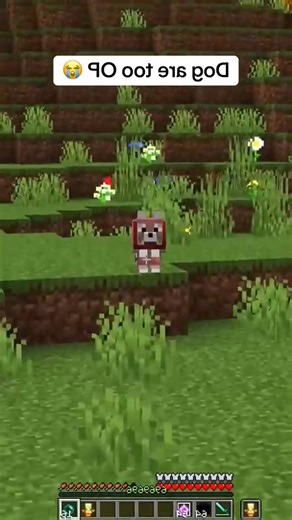 Minecraft dog meme #minecraftmemes #minecraft #minecrafter | Funny Pets