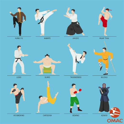 Tokyo Revengers Fighters: Martial Arts Styles and Fighting Scenes