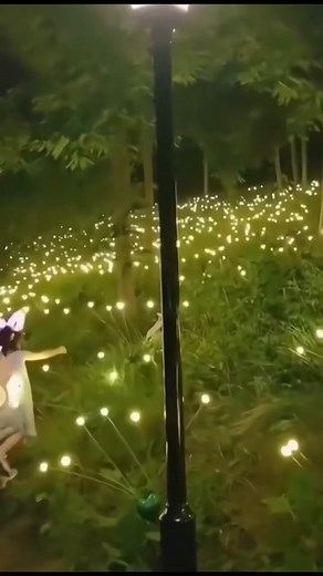 Brighten Up Your Space with Okpro Solar LED Lights