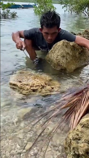 Amazing Fish Catching in River | Big Fish Fishing Adventure | Fishing Video 2026