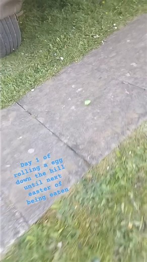 rolling a egg down hill until next easter or it gets eaten