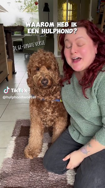 Hulphond Woezel: Taken en Ondersteuning bij PTSS