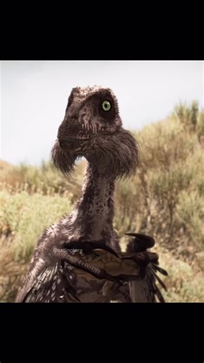 Extinct Era on Instagram: "Cedarosaurus was a long-necked sauropod that lived in North America during the Early Cretaceous, around 112–98 million years ago. Fossils show it traveled in herds, with adults likely helping shield vulnerable young from predators. Utahraptor, meanwhile, was a giant dromaeosaur from an earlier part of the Early Cretaceous, about 135–130 million years ago. While the documentary pairs the two together for dramatic effect, they did not actually coexist. Utahraptor was ind