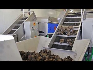 MUSSEL PROCESSING LINE brushing, grading, debyssing, packing MULOT