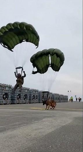 Military K9 Parachute Drop Onto a Ship Deck 🪂 #Shorts