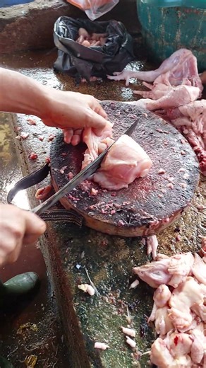Chicken Cutting Techniques for Various Recipes
