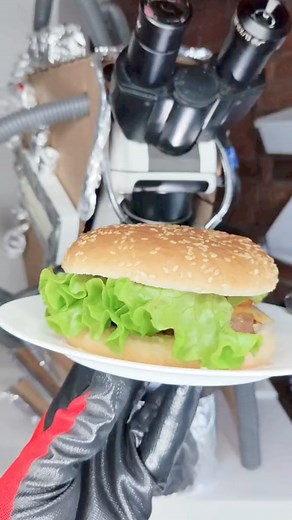 Whats inside a burger? | Micro Zoom Guy
