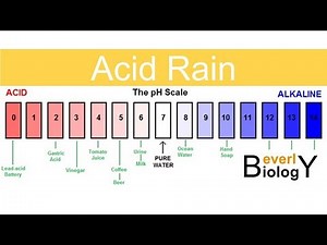 Acid Rain