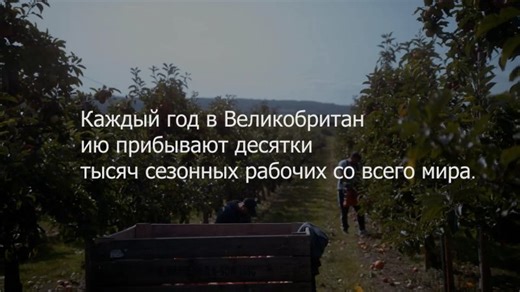 Seasonal Workers Scheme - what to expect when working in the UK (Russian) | Gangmasters and Labour Abuse Authority (GLAA)
