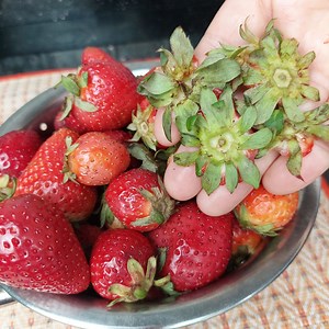 Ne jetez plus vos queues de fraises‼️ Astuce infaillible 👍 | Recette express et inratable
