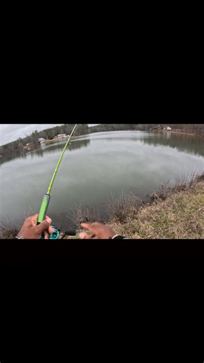 CATCHING SHELLCRACKERS USING RED WORMS 🪱 #everyonehighlightsfollowers #fypシ゚viralシ #viralreelschallenge #everyonefollowers #acccrappiestix #fyp #highlight #countryboy #bluegill #outdoors | Tito West