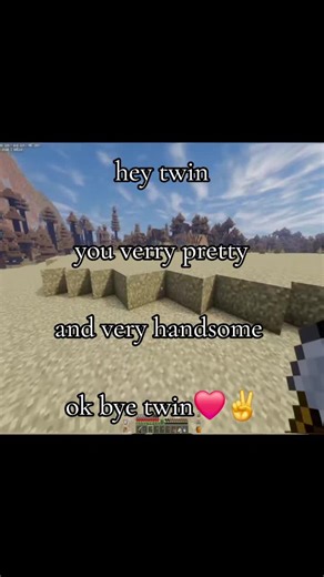 love you twin#fyp