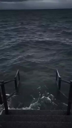 Hilarious Pig Jumps from Rooftop into Water