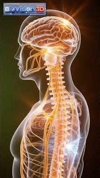 Epilepsy: When the Brain Sparks Out of Control| 3D animation#epilepsy #seizure #3danimation