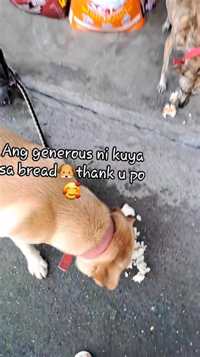46 reactions · 25 comments | Thank you po sa pa bread lagi | Virginia Bagon | Facebook