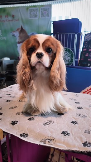 693 reactions · 7 comments | Our Matthew  He is a DOLL  Big and...