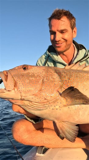BCF - Boating, Camping, Fishing on Instagram: "Join Strick from Back 2 Basics Adventures as his mission to land a coral trout for dinner turns into the battle of a lifetime! 🎣👀 What’s the biggest fish you’ve landed while casting around soft plastics? #BCFAustralia #BCFingFUN"