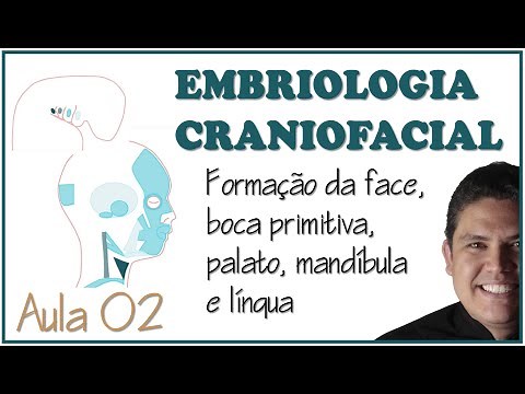 EMBRIOLOGIA - FORMAÇÃO DOS ARCOS FARÍNGEOS, FACE, ESTOMODEU, MANDÍBULA, PALATO E LÍNGUA.
