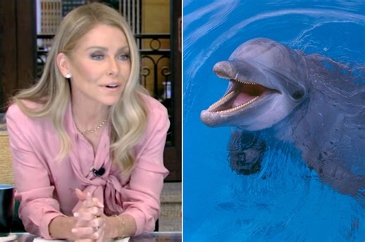 Kelly Ripa once jumped off boat to try to communicate with wild dolphins