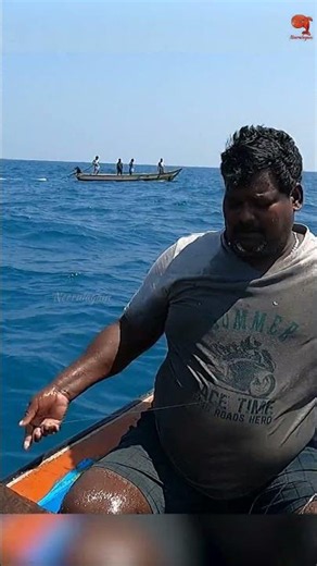 Barracuda Fishing with Squid Bait #fishing #fishingvideos #fshingtime