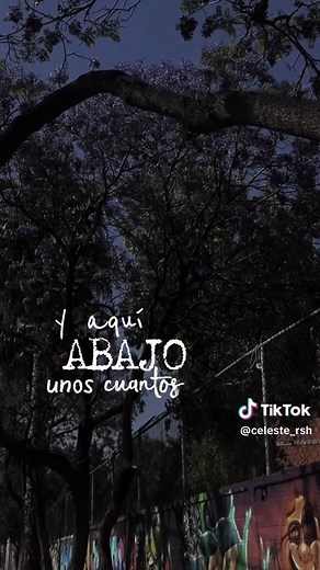 Shakira: Octavo Día - Letras y Significado