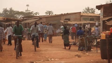 How this mega-project will make Egypt the continent's largest fish producer