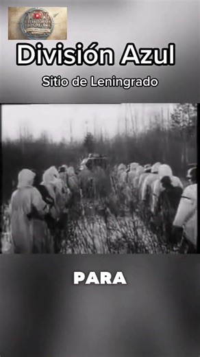 Españoles en la Segunda Guerra Mundial: el secreto de la División Azul.#shorts #history #historia