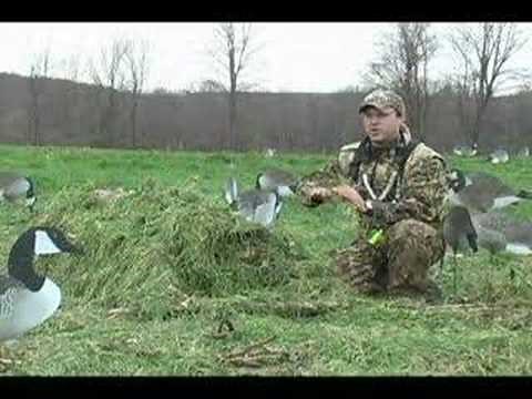 Concealing Your Layout Blind