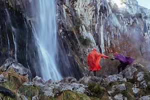 Programs - Professional Artist Association