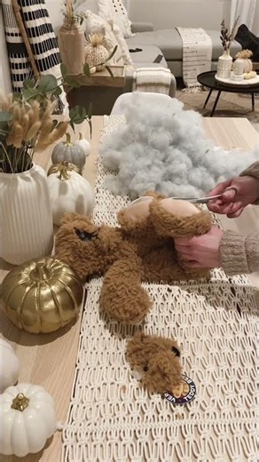 are you scared? #petcostumes #dogcostume #halloweencostume #diyhalloweencostumes