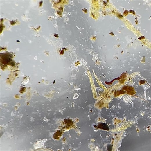 Curiosidades con Mike on Reels