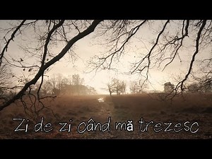 ZI DE ZI CÂND MĂ TREZESC - Abel Bîtea || Official video || 2021